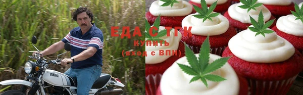 хмурый Алзамай