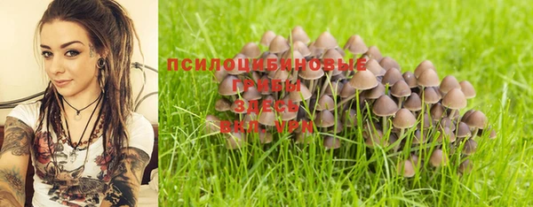 хмурый Алзамай