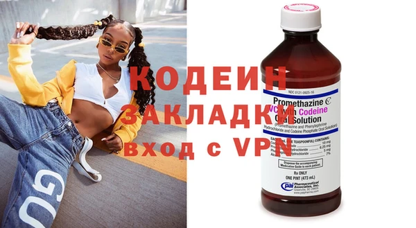 хмурый Алзамай