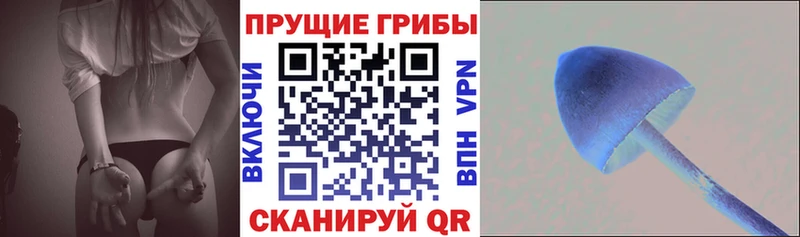Псилоцибиновые грибы Psilocybine cubensis  как найти закладки  Игра 